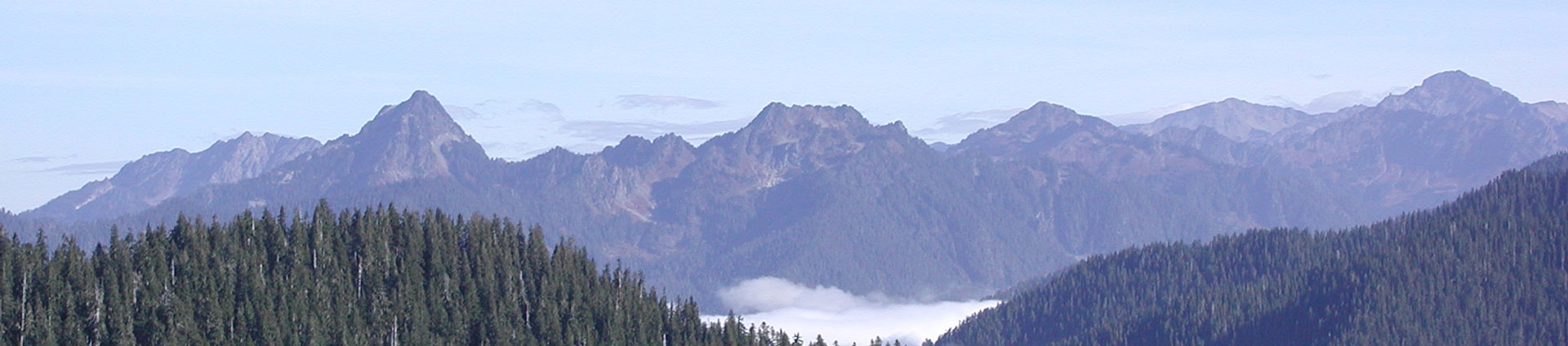 header image of olympic national park