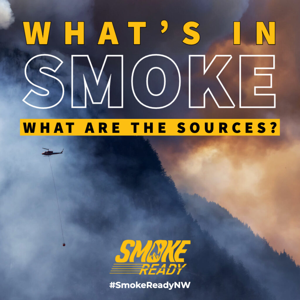 Graphic showing wildfire smoke with the words "What's in SMoke. What are the sources?"