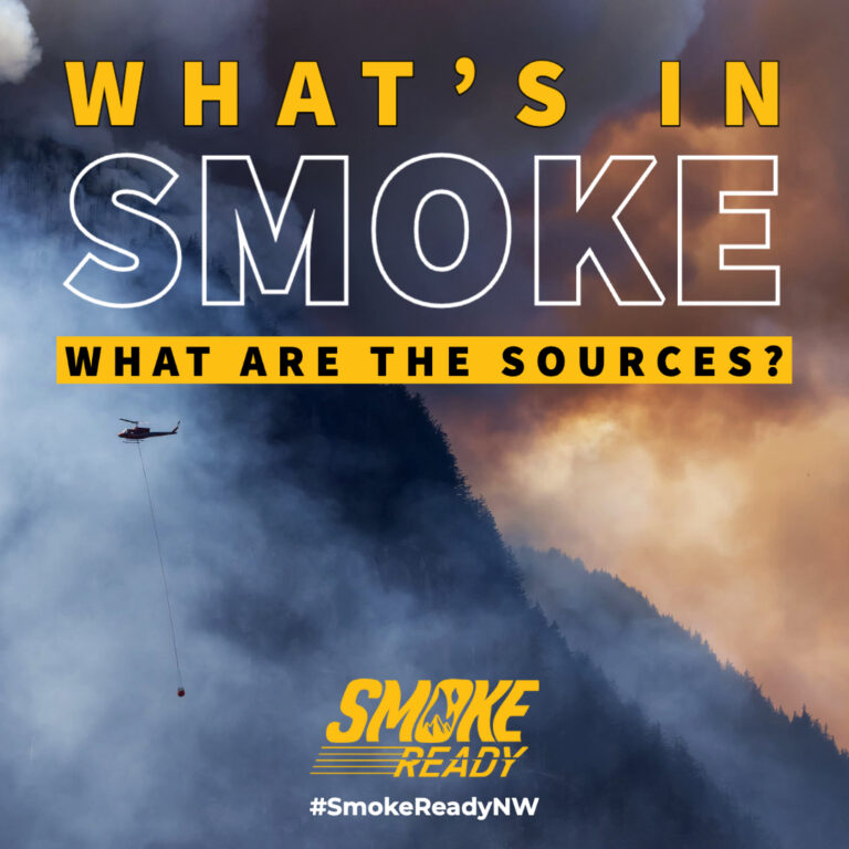Gráfico que muestra humo de incendios forestales con las palabras &quot;Qué hay en SMoke. ¿Cuáles son las fuentes?&quot;