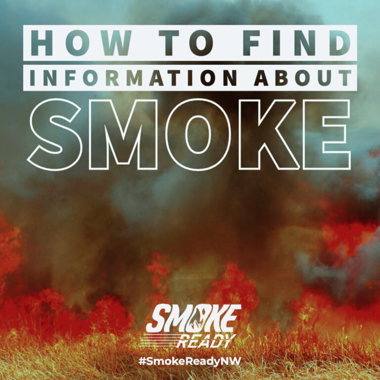 Graphic of smoke in background, with the words &quot;How to find information about smoke&quot; in the foreground.