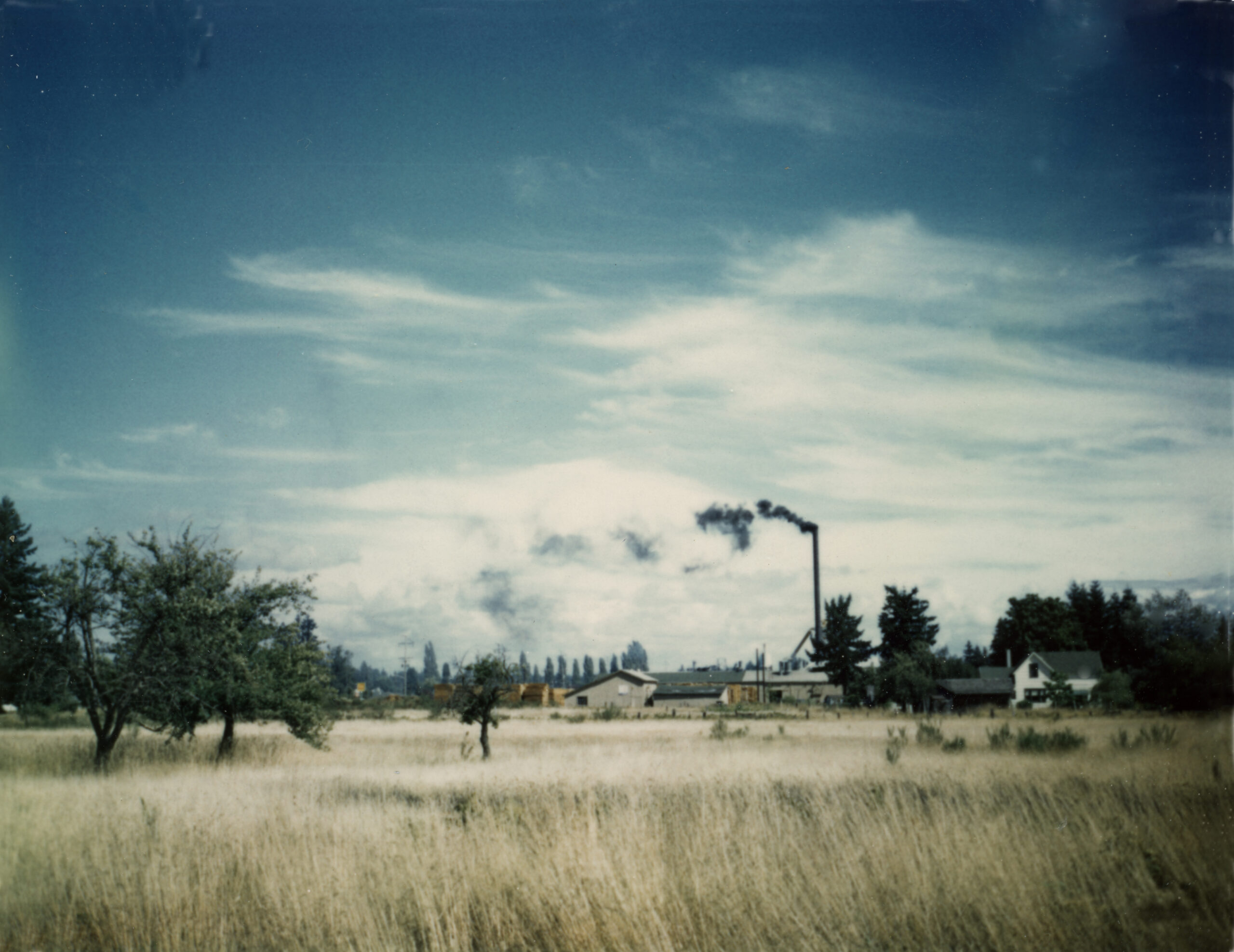 Grassy meadow in front of an old lumber mill, with a tall smokestack spewing black smoke.